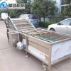 全自動果蔬清洗機 紅棗大棗氣泡清洗機 多用途蔬菜水果清洗流水線