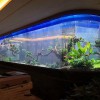 大型魚缸廠家