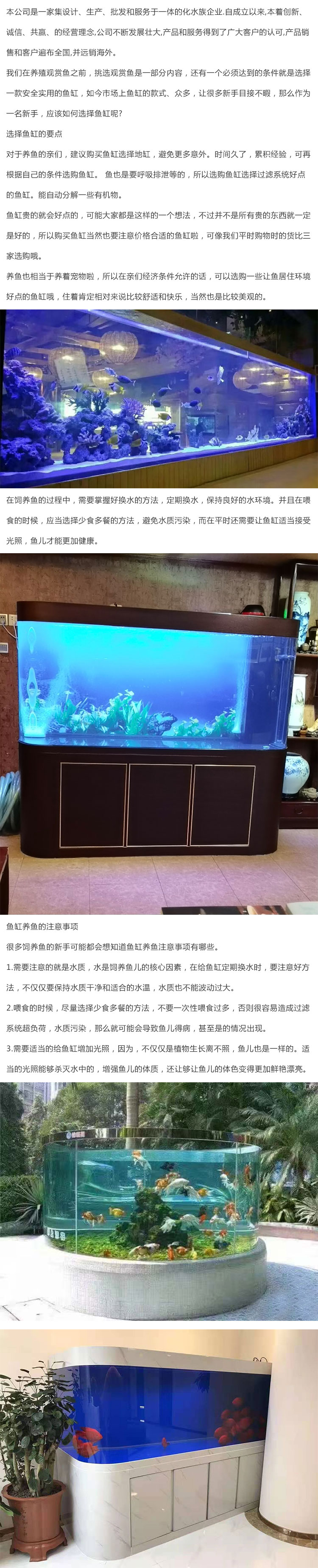 詳情