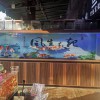 大型魚缸報價 經久耐用