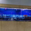 大型魚缸報價 使用壽命長