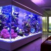 大型魚缸廠商 使用壽命長