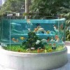 小型觀賞魚缸