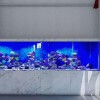 家庭觀賞魚缸-深圳水族箱生產廠家