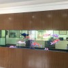 生態魚缸定制