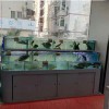 酒店海鮮池-飯店海鮮缸