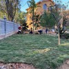 馬尼拉草坪 耐踐踏 耐修剪 耐寒耐旱 草皮采購價格