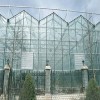 邦澤溫室-黑白膜溫室大棚搭建安裝定制外貿(mào)供應(yīng)