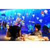 神筆畫畫 3D海洋館  全息互動投影