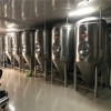 天津小型500升精釀啤酒設備 酒吧啤酒設備 啤酒釀制設備