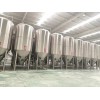 小型啤酒廠釀酒設備 自動化啤酒設備廠家定制 5000升啤酒生產設備