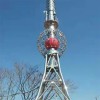 濕地觀測塔 森林監(jiān)控鐵塔 山頂瞭望塔鋼結(jié)構(gòu)便利安裝