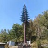 仿生樹價格 信號塔仿生樹實體廠家 仿生樹批發(fā)