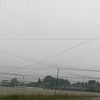 防鳥網