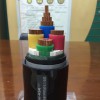 輻照交聯聚乙烯絕緣電力電纜FYJV、FYJV22