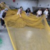捕魚網(wǎng) 加粗牢固魚蝦防逃編織網(wǎng)