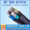 電纜