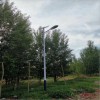 滄州5米海螺臂LED太陽能路燈報價