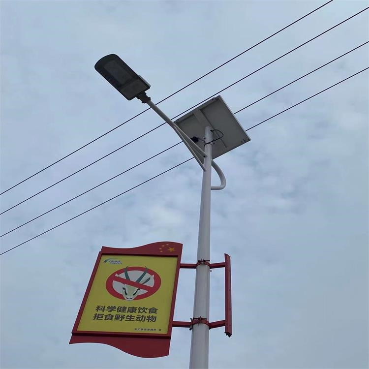 實(shí)拍圖家 (6)