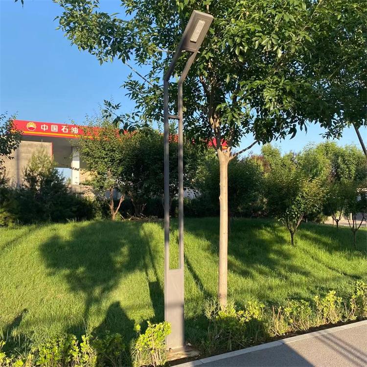 實拍圖庭院燈9