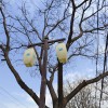 山東菏澤4米60瓦LED庭院燈參數 天光燈具