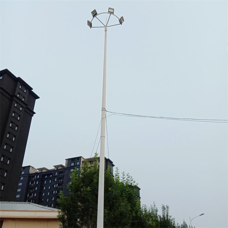 高桿燈 (13)