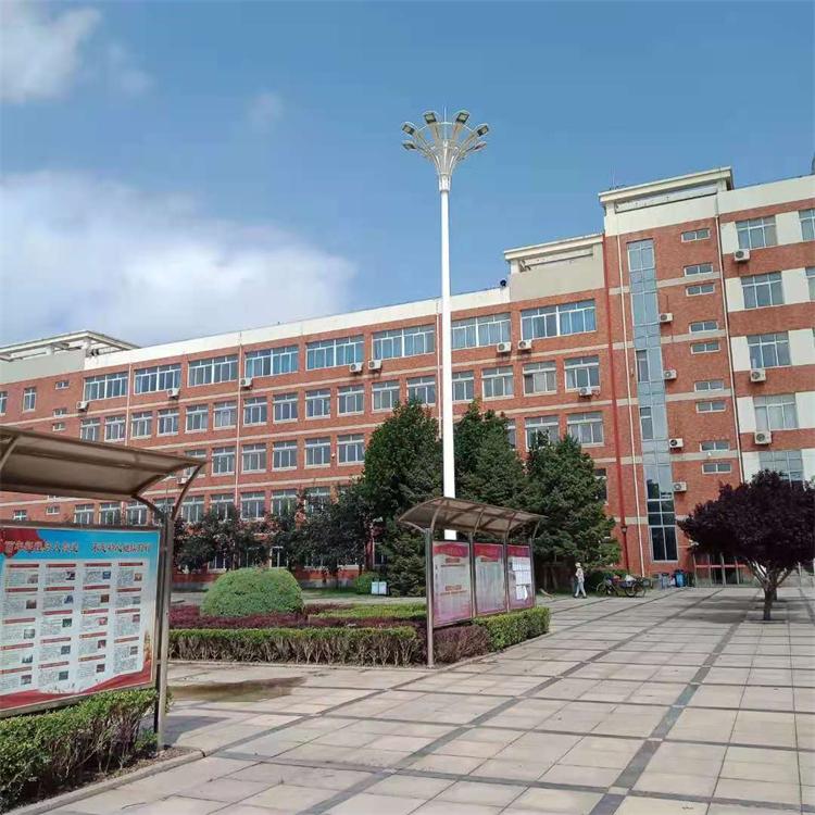 高桿燈 (25)