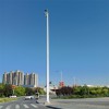 陜西商洛道路高桿燈安裝施工 天光燈具