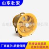 壯安森林消防ATPF型防爆正負壓排煙機